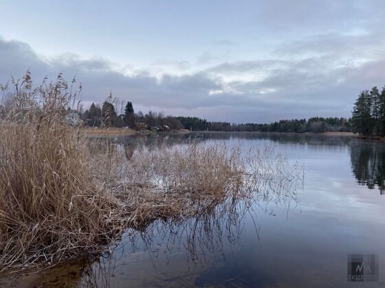    Заморозки в Ленобласти Елена Молчанова © ИА REGNUM