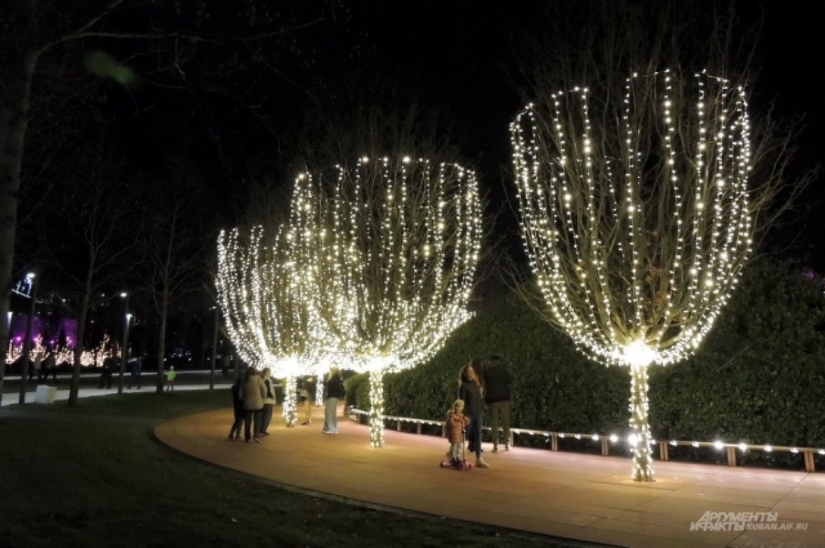    В Новосибирск привезут 100 детей из ЛНР перед Новым годом