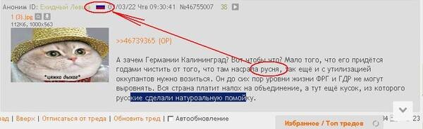 Пользователь Двача уничижительно называет русских русней, хотя сам является русским