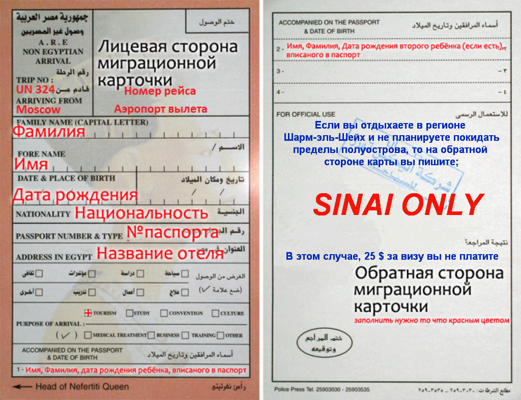 миграционная карта синай онли. миграционная карта египет шарм эль шейх. миграционная карта египет шарм эль 2023. миграционная карта египет шарм эль шейх. миграционная карта египет образец заполнения 2021.