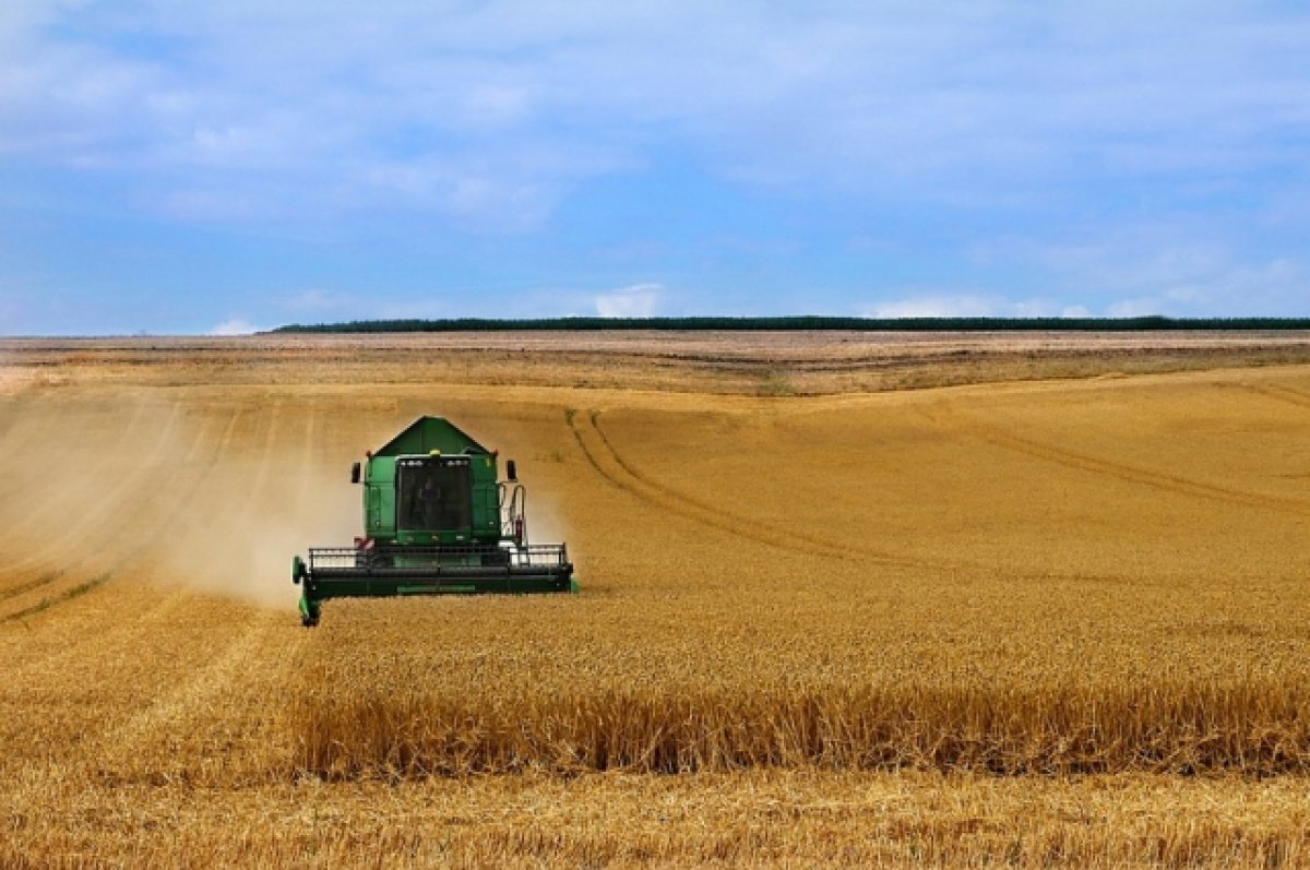    Кабмин выделит еще 10 млрд руб. на поддержку льготного лизинга для аграриев