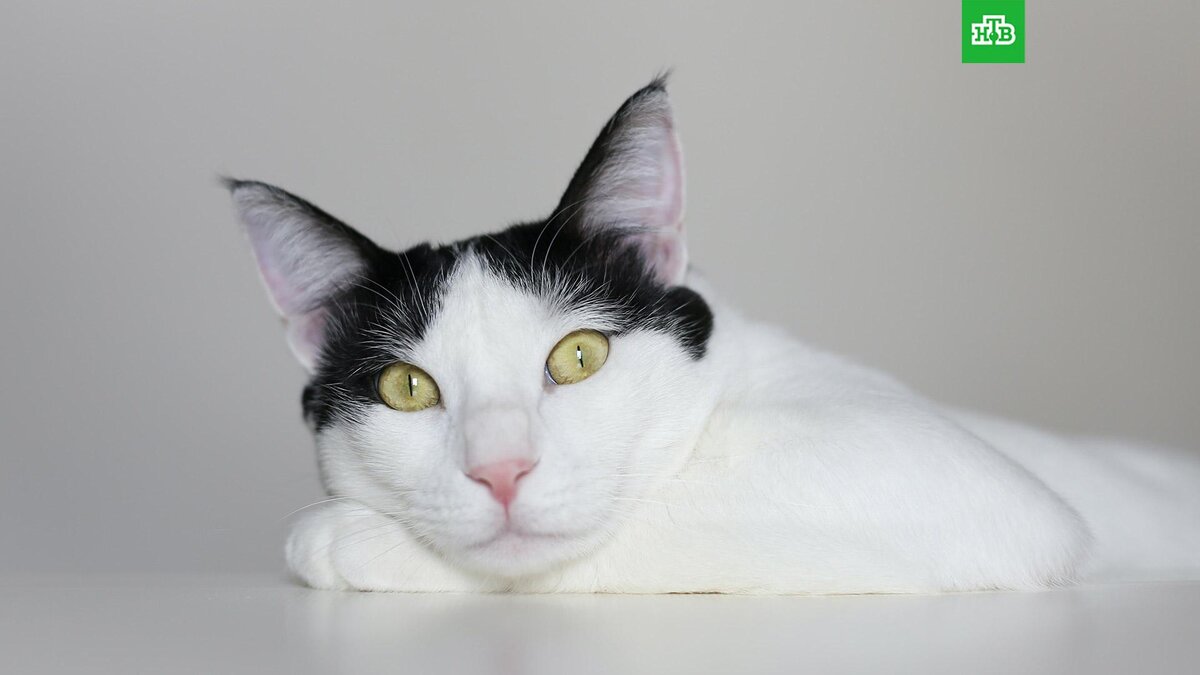    Фото: Sahand Babali / unsplash.com