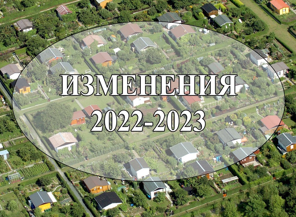 Чем 2022-2023 годы запомнятся садоводам? | Дачный Бухгалтер и Юрист | Дзен