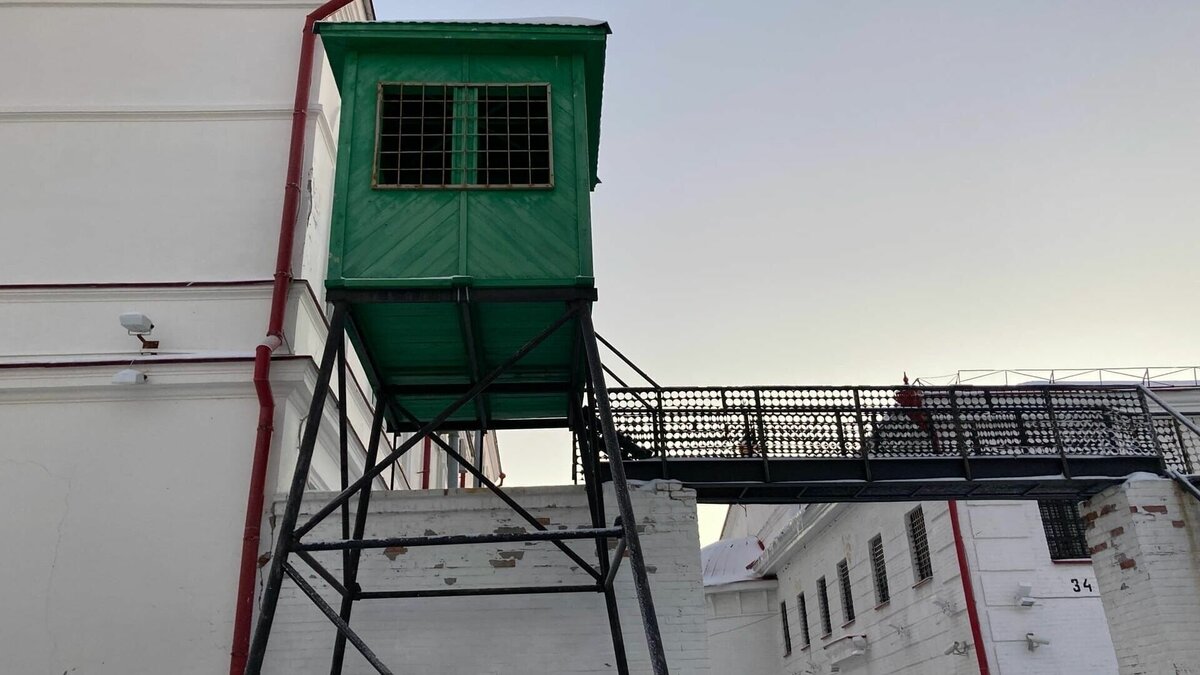     Управление Федеральной службы исполнения наказания (УФСИН) по Татарстану опровергло информацию о том, что руководство ведомства распоряжалось очищать территории от кошек. Такой ответ поступил на запрос Inkazan.