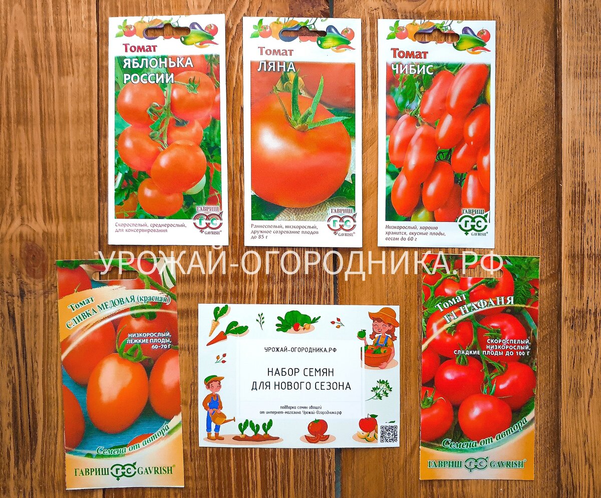 👍🏻🌿🍅 ТЕ САМЫЕ 5 СОРТОВ ТОМАТОВ, КОТОРЫЕ САМЫЕ ПЕРВЫЕ СОЗРЕВАЮТ В  ОТКРЫТОМ ГРУНТЕ 🍅🌿👍🏻 | УРОЖАЙ ОГОРОДНИКА рф СЕМЕНА РАССАДА ГРУНТ Калуга  | Дзен