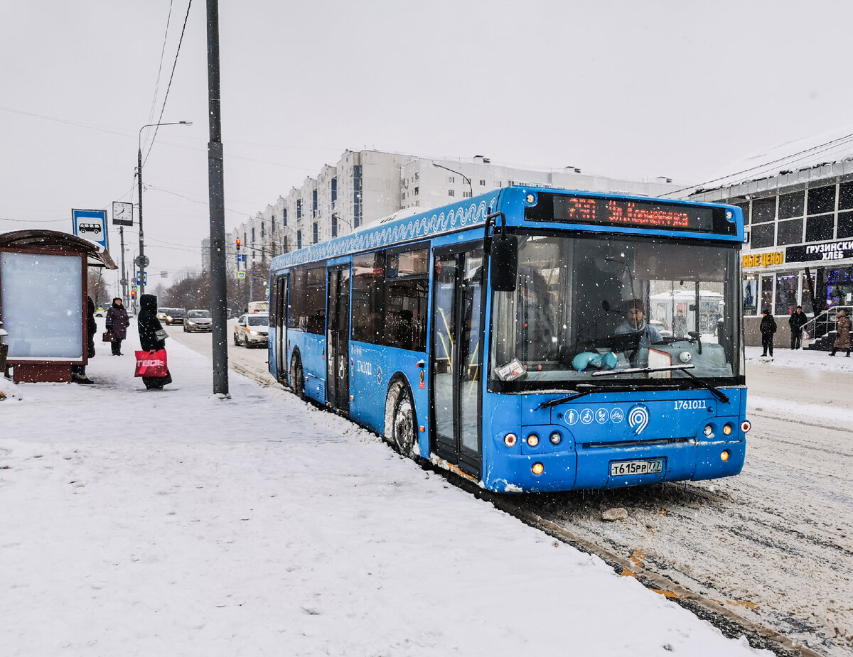 Транспорт на остановке 