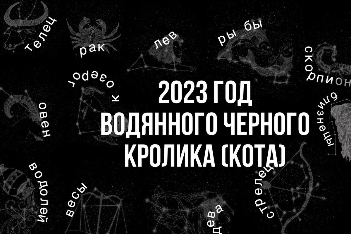 2023 ГОД - ЧЕРНОГО ВОДЯНОГО КРОЛИКА (КОТА) | Мария Самгина | Дзен