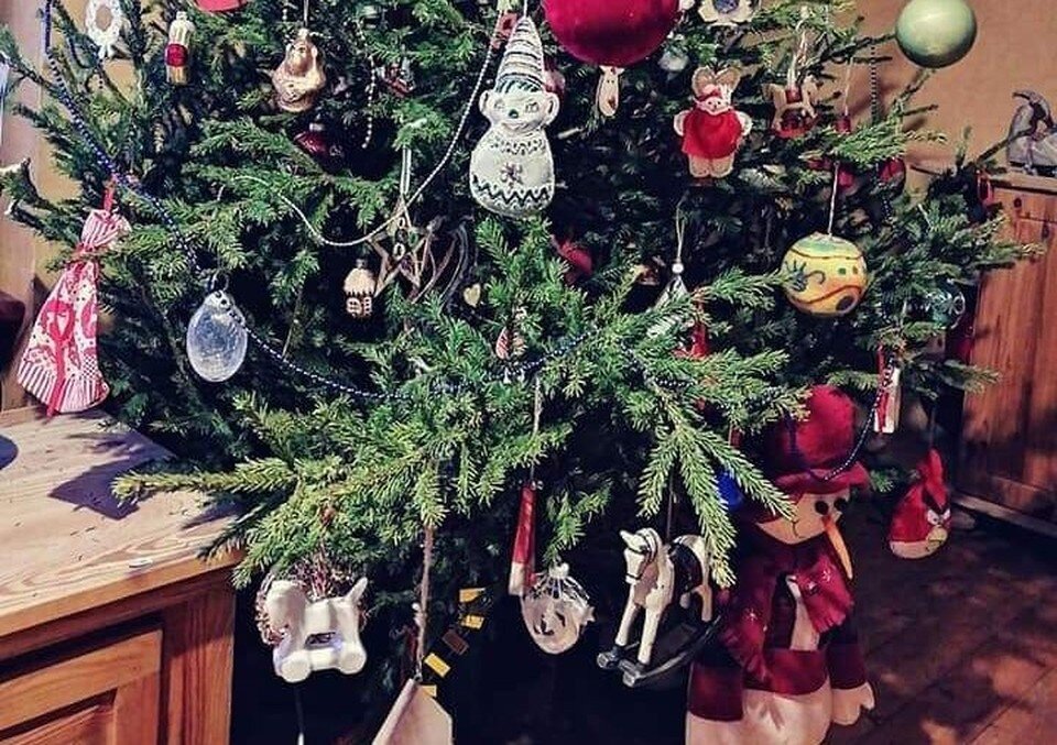     Живая елка на Новый год дарит не только радость, но и здоровье. Фото: архив "КП"