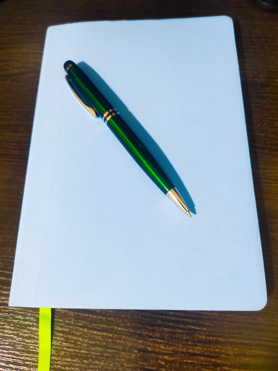 фото автора. С недавних пор завела себе блокнот. 