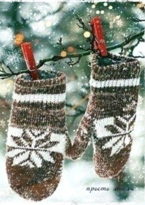 фото их общедоступных источников 