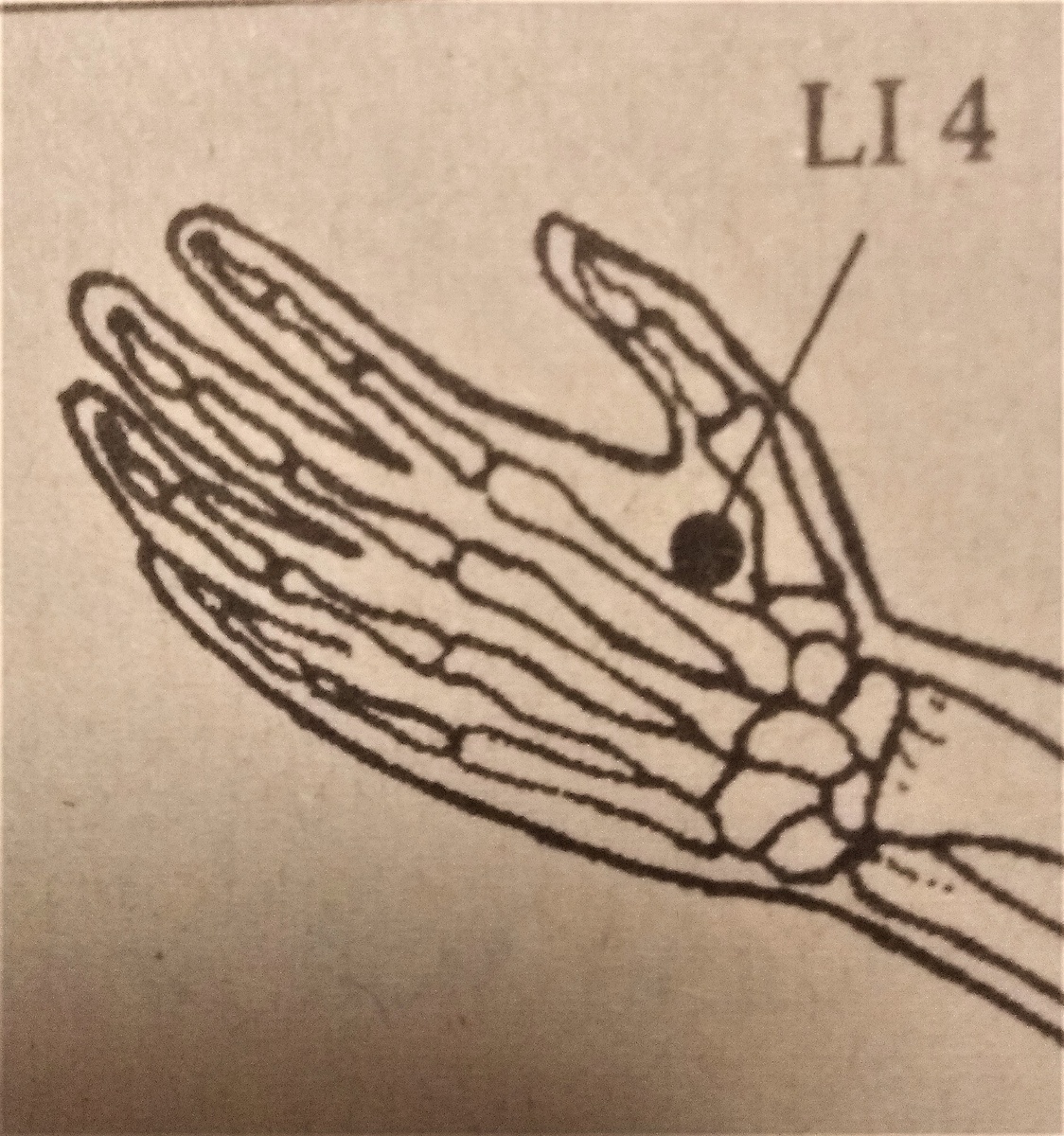 Из личного источника, подаренного мне внуком китайского специалиста,  глубоко занимающимся акупунктурой 