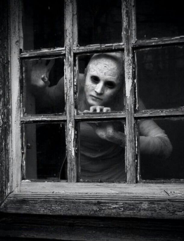 Фотоизображение взято из открытых интернет - источников