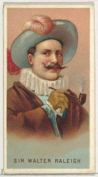 Allen & Ginter