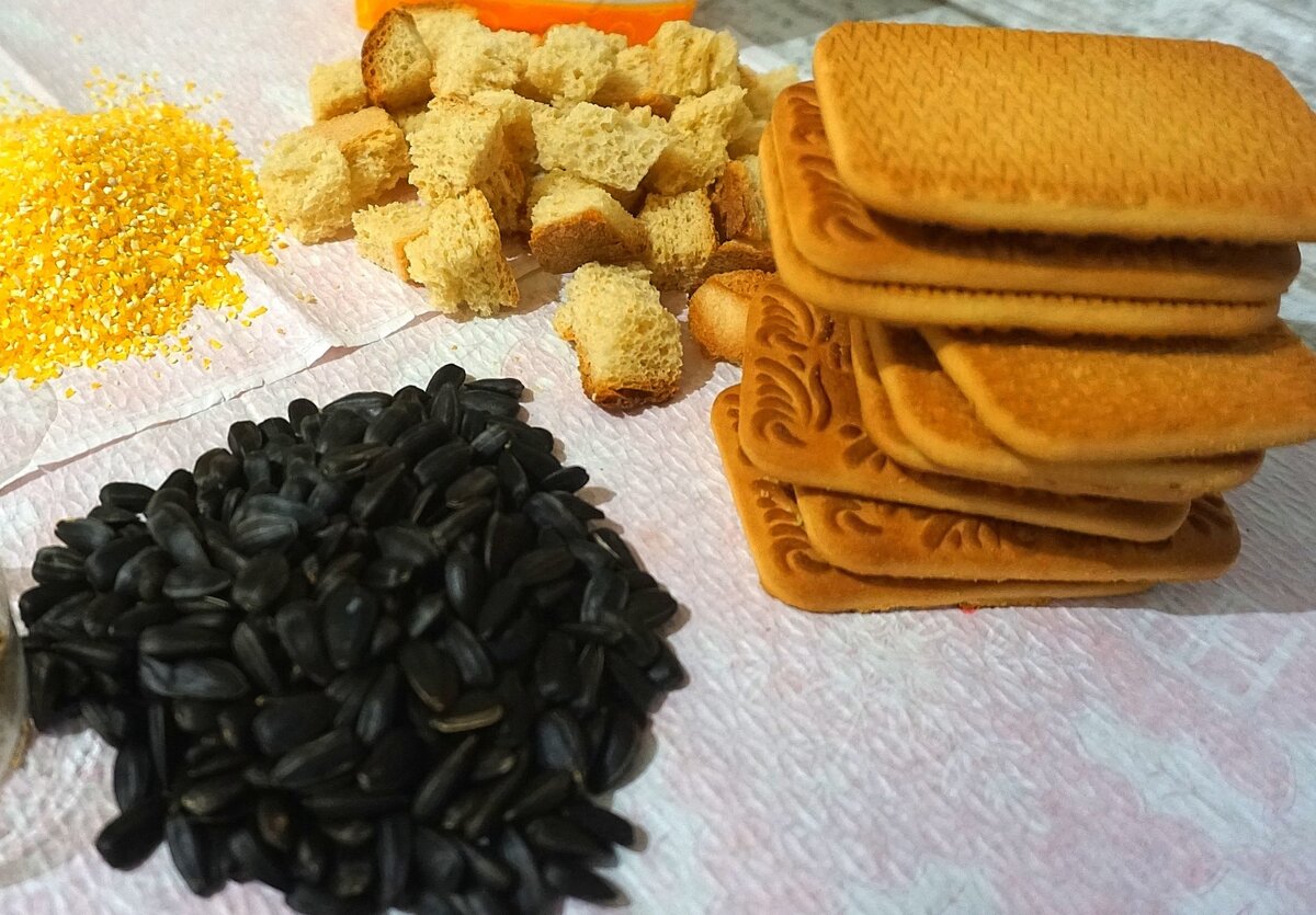                            Делаем прикормку своими руками из доступных ингредиентов