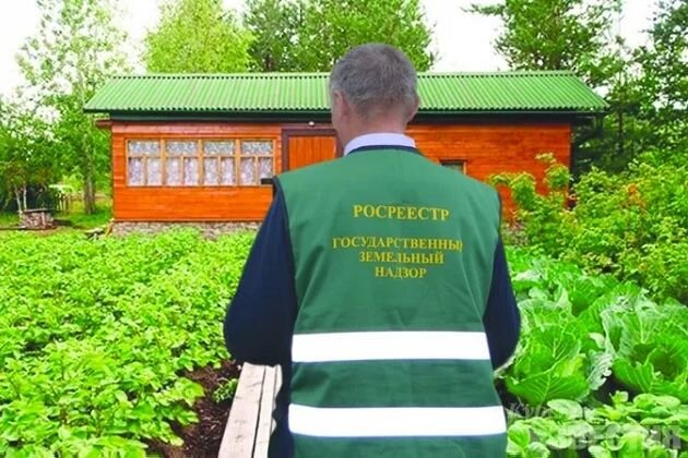 Какие изменения ждут в 2023 году садоводов–огородников?