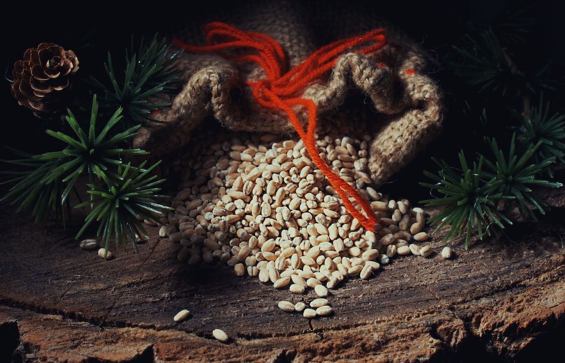 рождественские гадания. ритуалы на 14 января. ритуалы на 14 января. история празднования старого нового года. с 13 на 14 января волшебство.