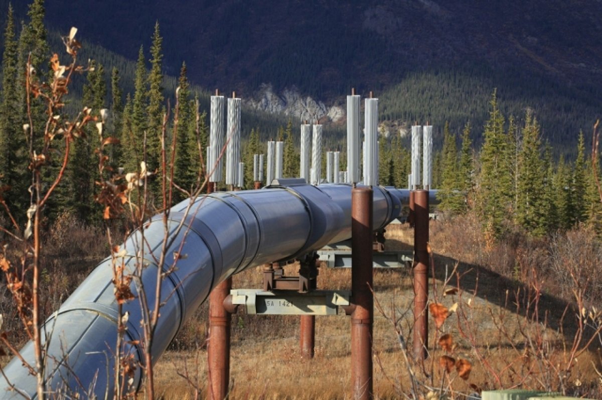    Япония еще не решила, поддерживать ли потолок цен на нефтепродукты из РФ