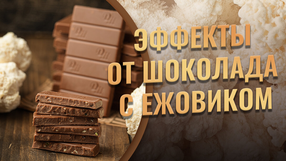 Шоколадный дом