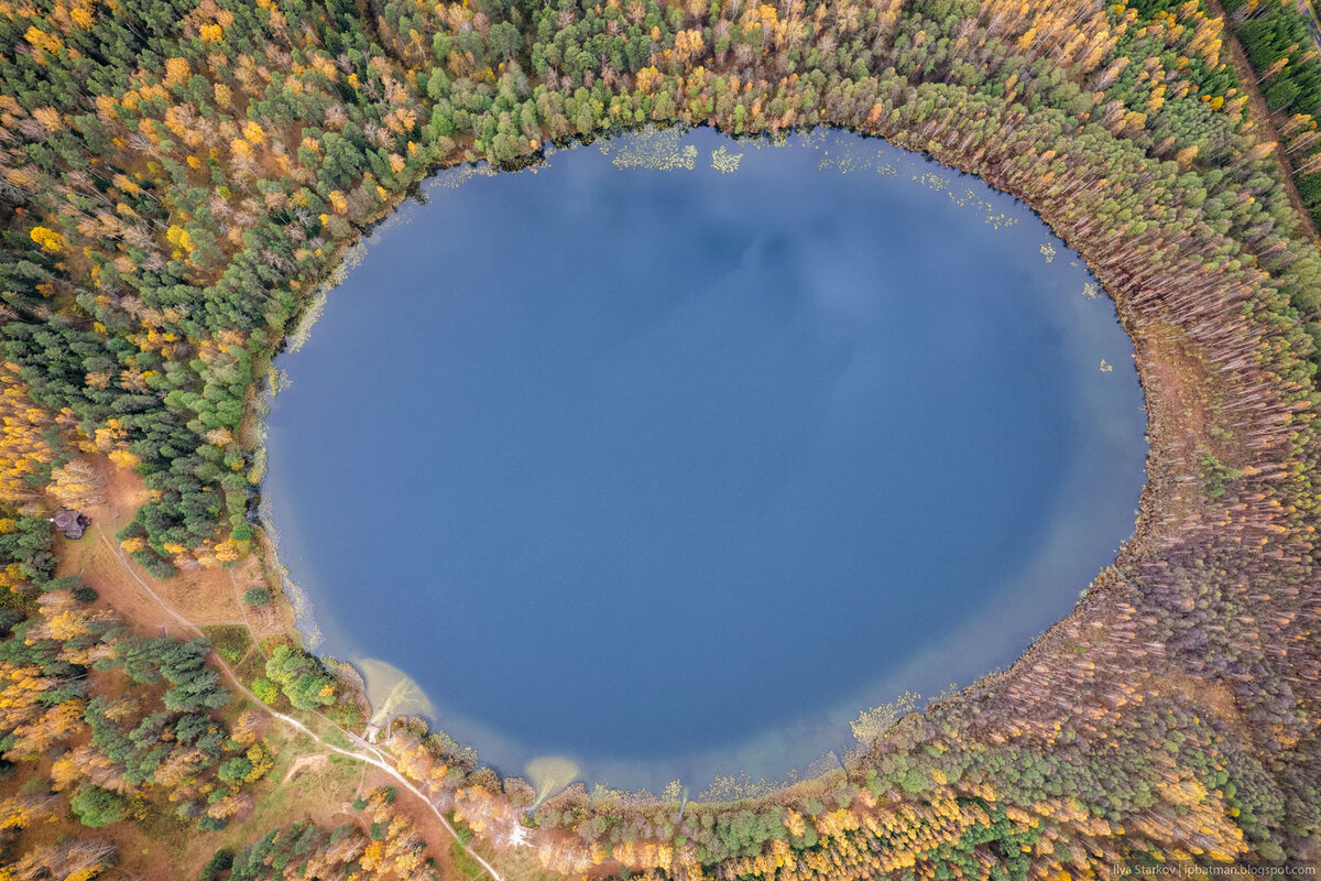 Озеро Светлояр Нижегородская область сверху. Лес озеро вид сверху. Овальное озеро. Острове посреди озера овал. Озеро светлояр какой город
