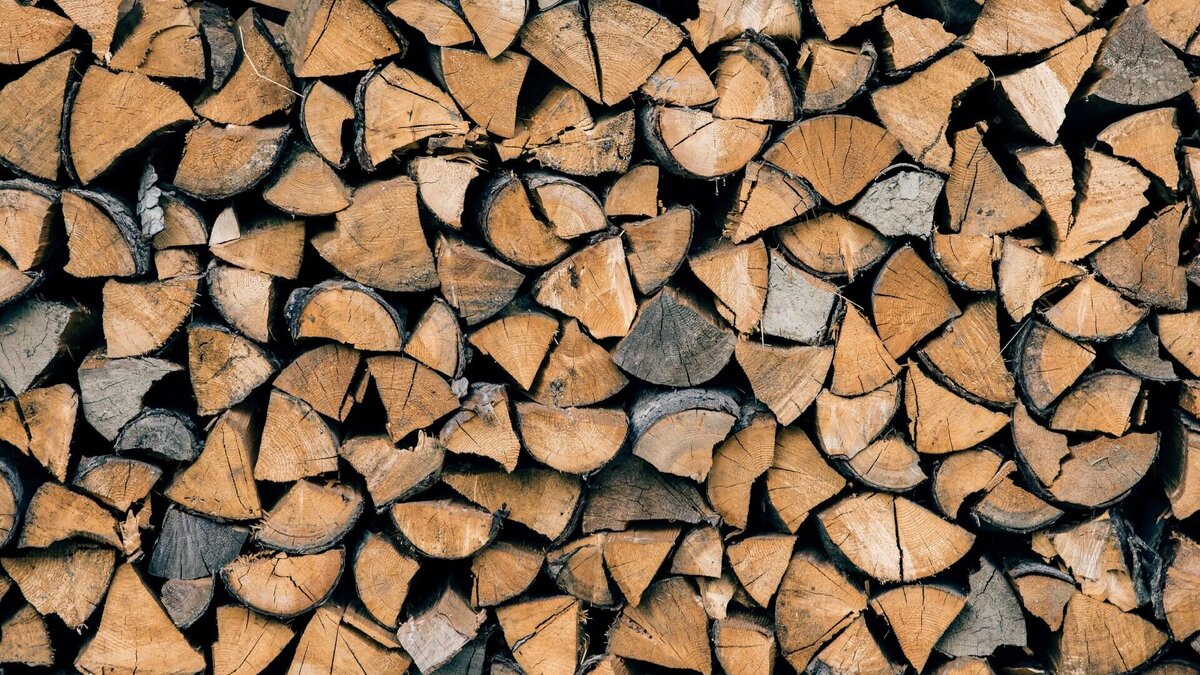     Льготы на покупку дров для многодетных семей действуют в различных селах и поселках региона. В будущем практику собираются расширить и для городов.