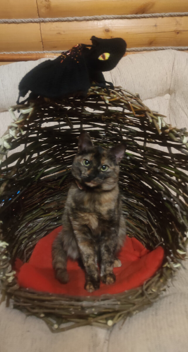 Коша и дракоша