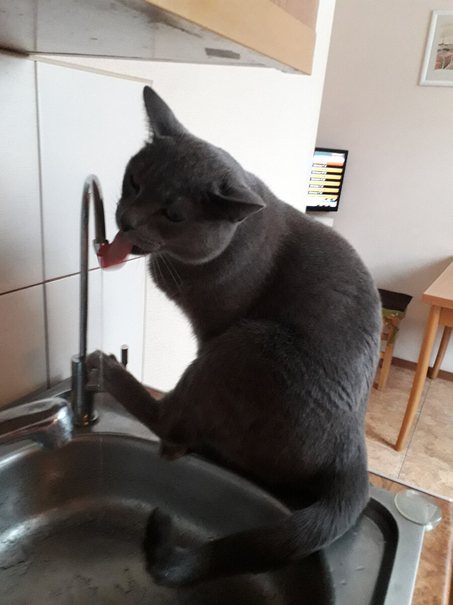 ЭХ ВОДИЦА ХОРОША, ВЕСЕЛИСЬ МОЯ ДУША