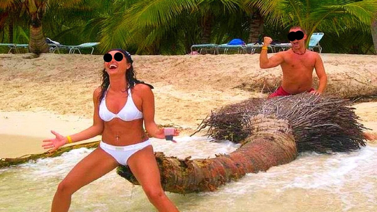 Изображение взято из открытых источников. 