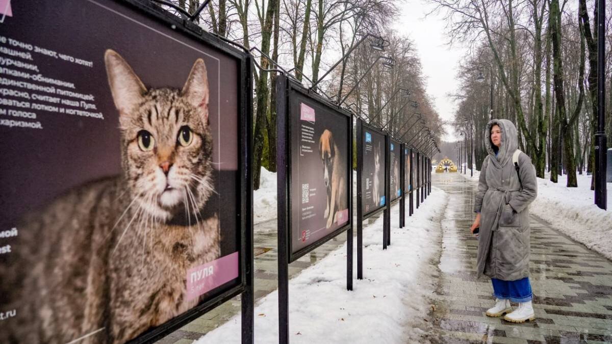    Фото: Комплекс городского хозяйства Москвы