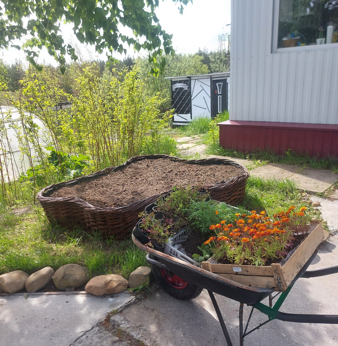 Фото со двора, на заднем плане сарай и теплица на нижнем уровне