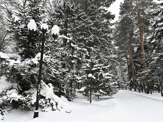     В Хабаровском крае морозы отступят после 25 января ФОТО: правительство Хабаровского края