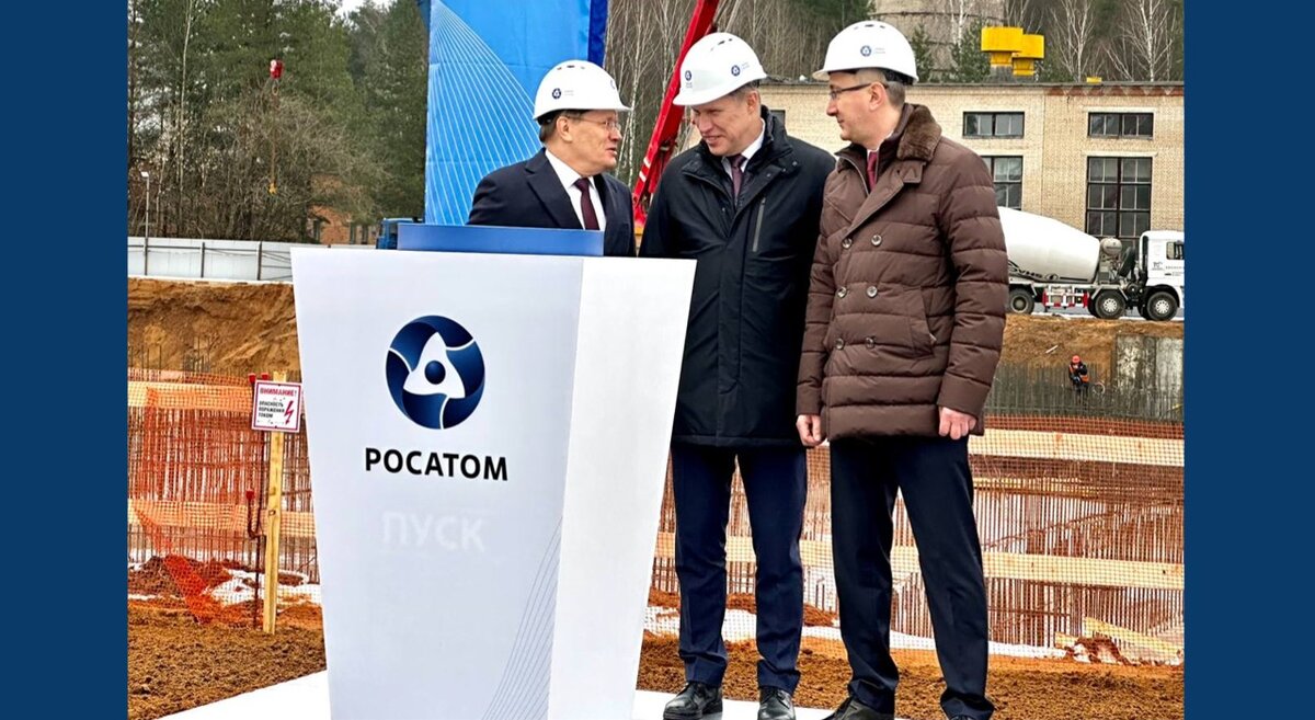    В кратчайшие сроки. Татьяна Пульная