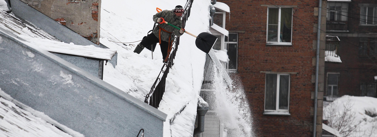 Фото: nsknews.info