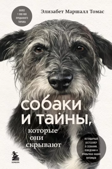 Собаки как охранники