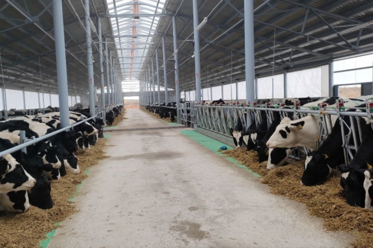    Роботизированную ферму за 54 млн рублей запустили в Арзамасе