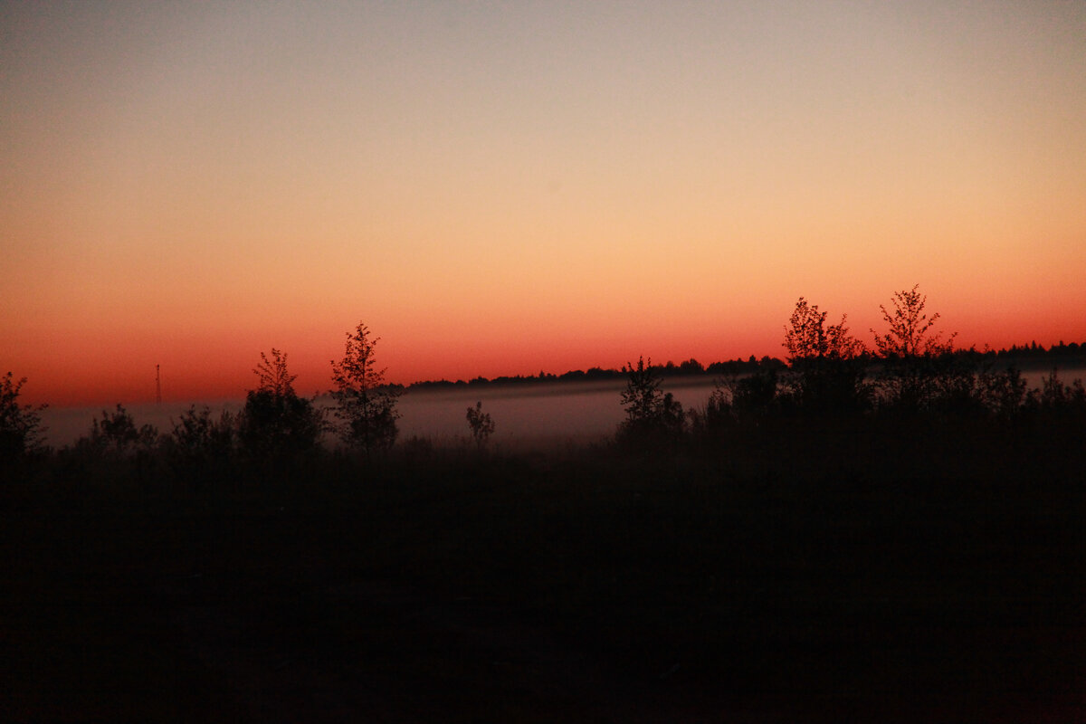дорога в Питер, скоро рассвет. Фото Н.Будановой