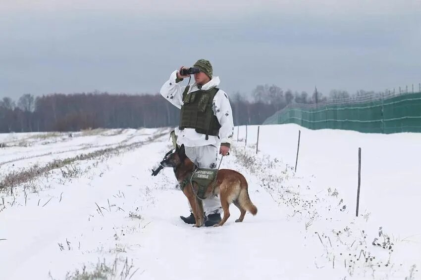 Фото: © Sputnik / Александр Жибуль