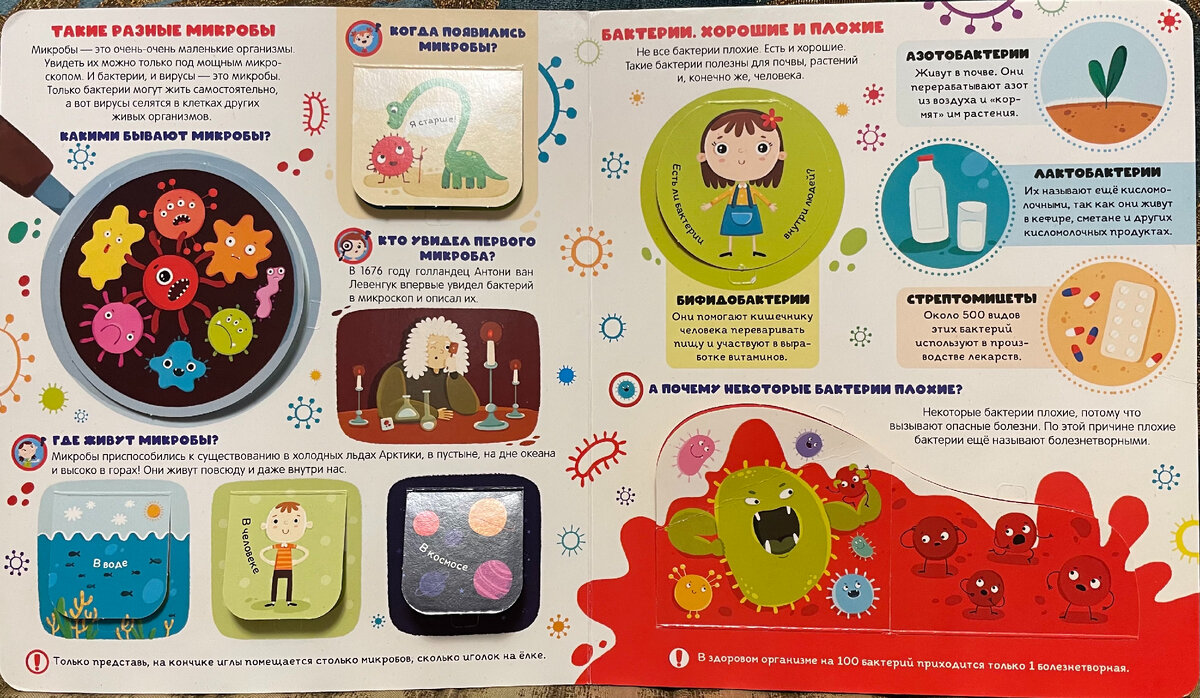 Серия "Книги с окошками" от Malamalama