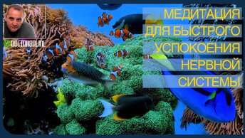 Андрей Ракицкий. Медитация для успокоения нервной системы и снятия стресса. С переходом в сон.