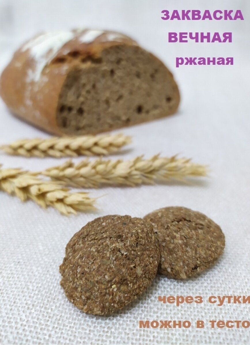 Сайт Поваренок ру Вечная закваска