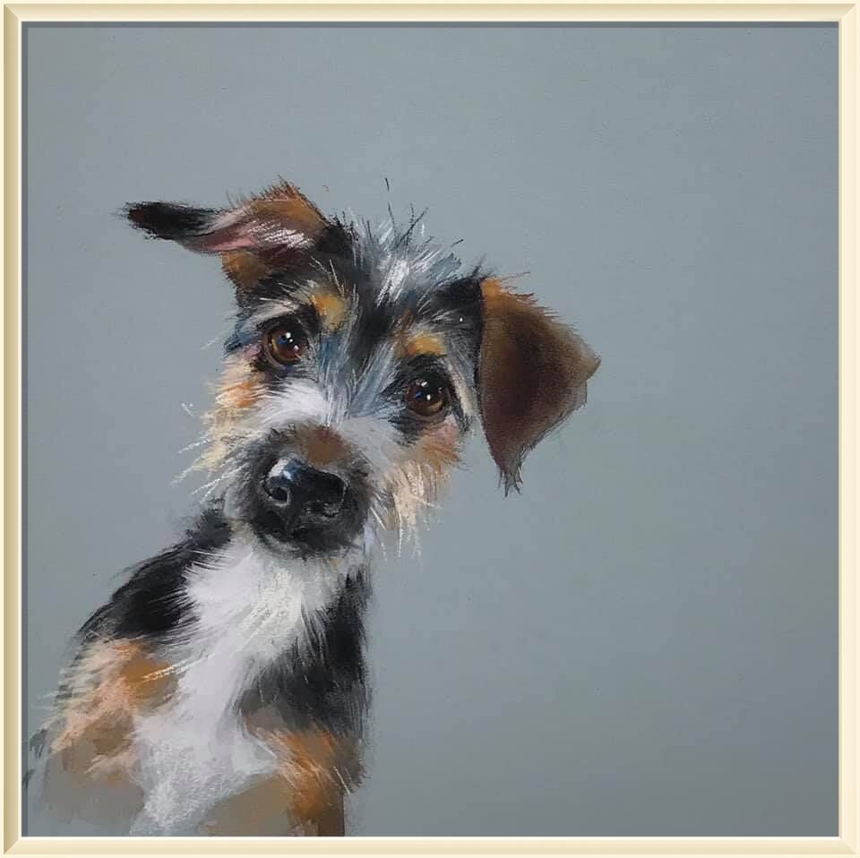 � ���� �������� / Nicky Litchfield  �� ����� " � ��� ��� �� ��� ������� ? "