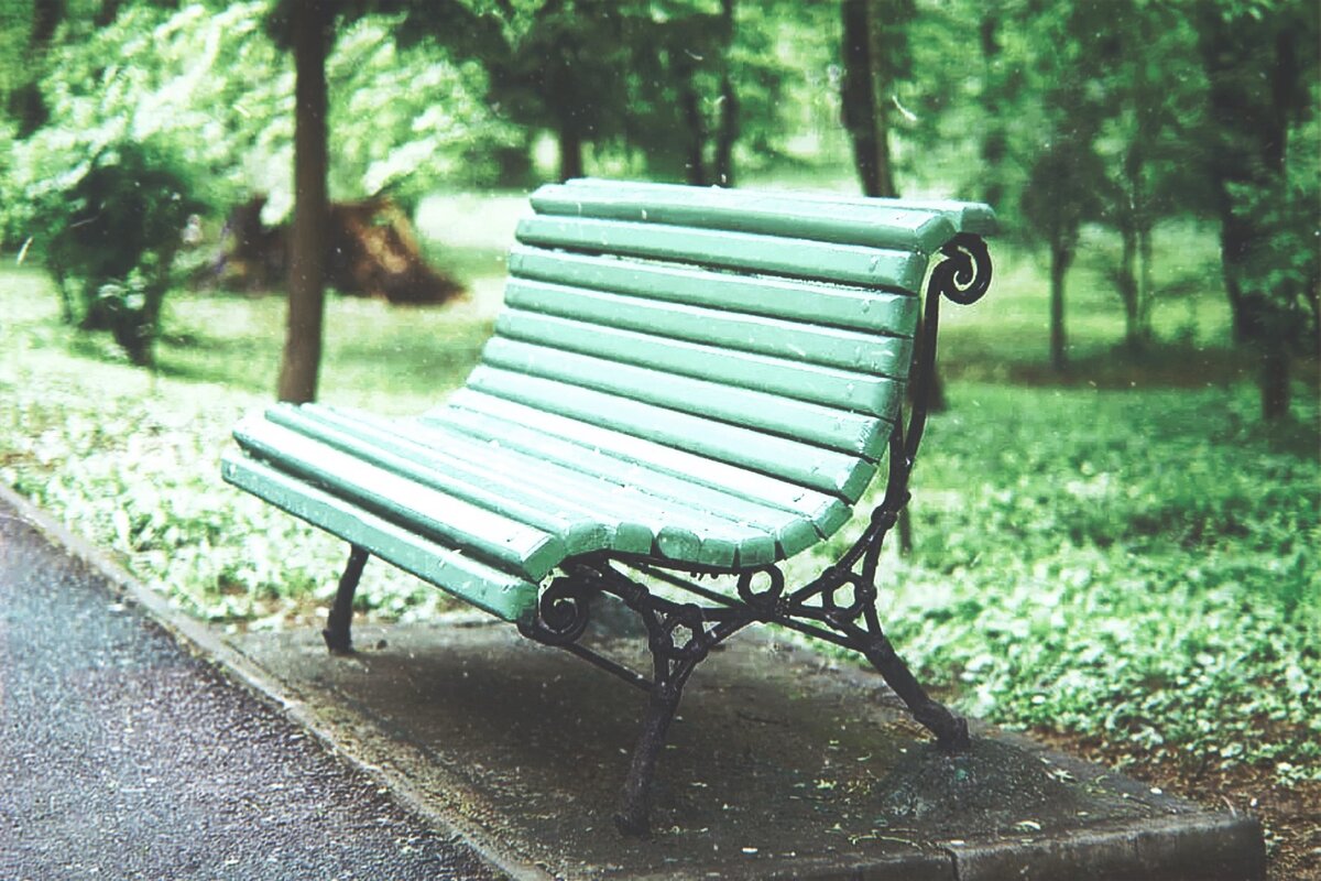 Яндекс Картинки