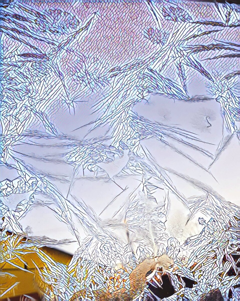 Вам от меня немного красоты