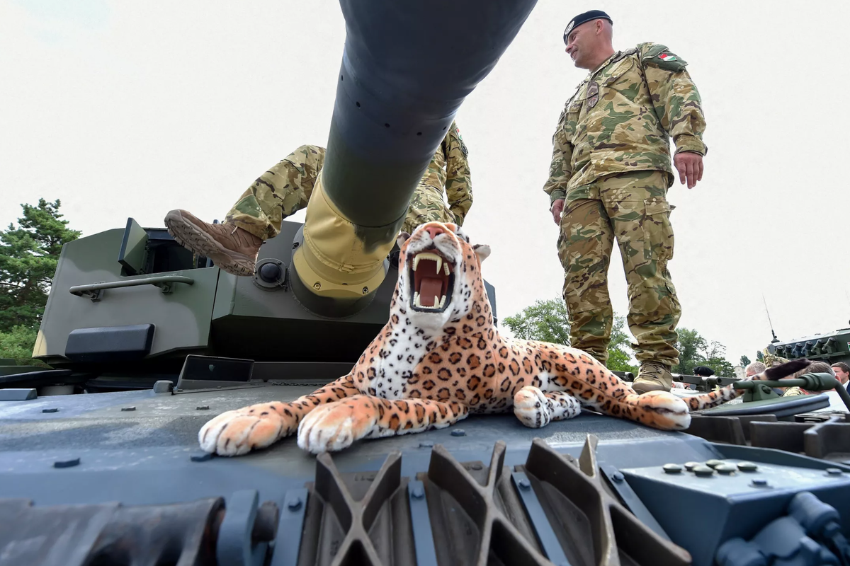    В Госдуме предостерегли НАТО от передачи Киеву немецких танков Марина П.