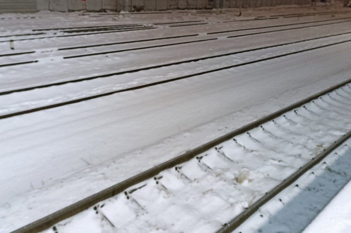    Попавший под поезд в Твери 11-летний мальчик был в компании брата и друга