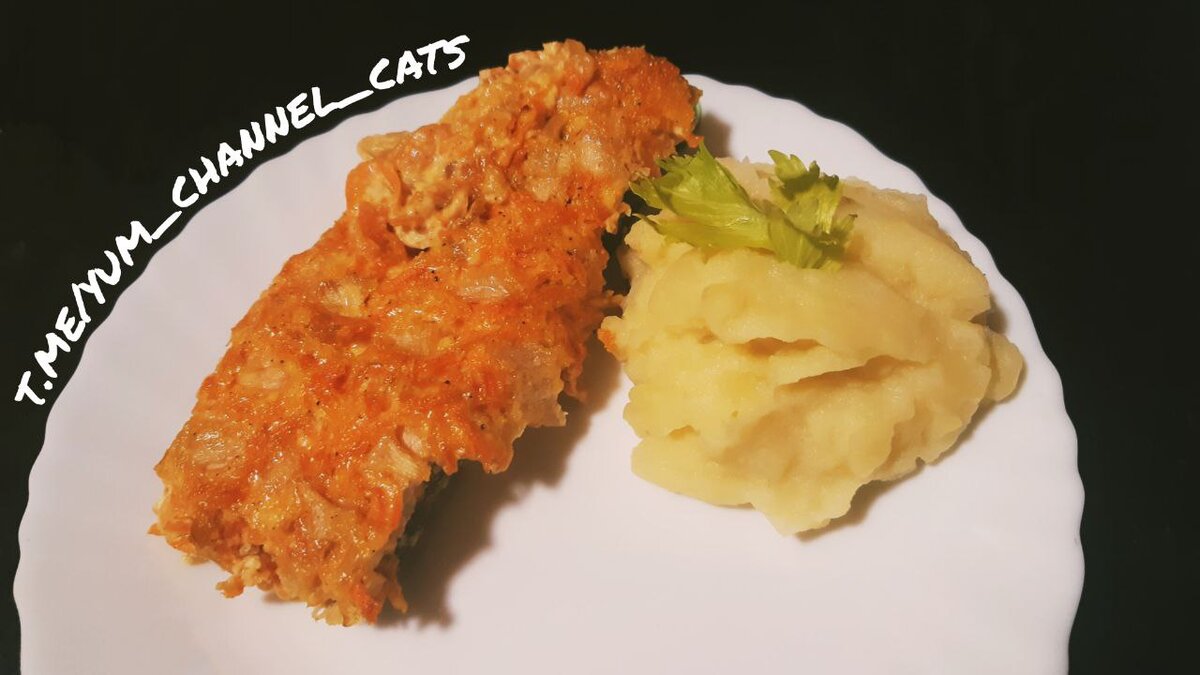 t.me/yum_channel_cats