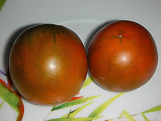 Фото семян-автора, фото томатов яндекс картинки.