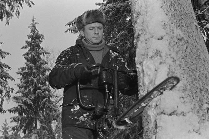 Николай Рыбников в к/ф "Девчата"