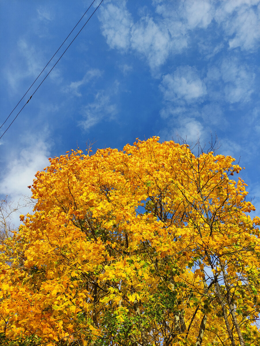 А ведь всё хорошо начиналось... 