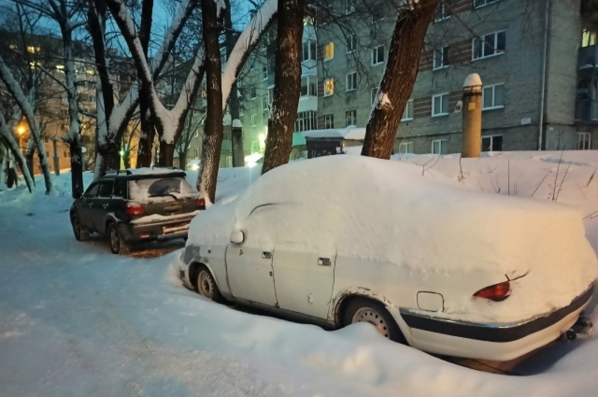    В Томске ожидается сильный ветер и до -8 градусов в воскресенье 29 января