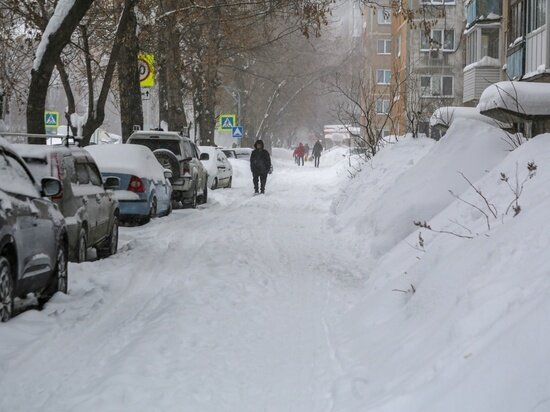     Фото: Густаво Зырянова/Сиб.фм